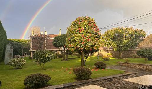 Inauguramos nuestra web